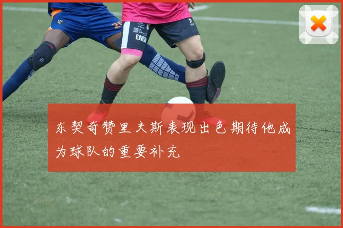 东契奇赞里夫斯表现出色期待他成为球队的重要补充