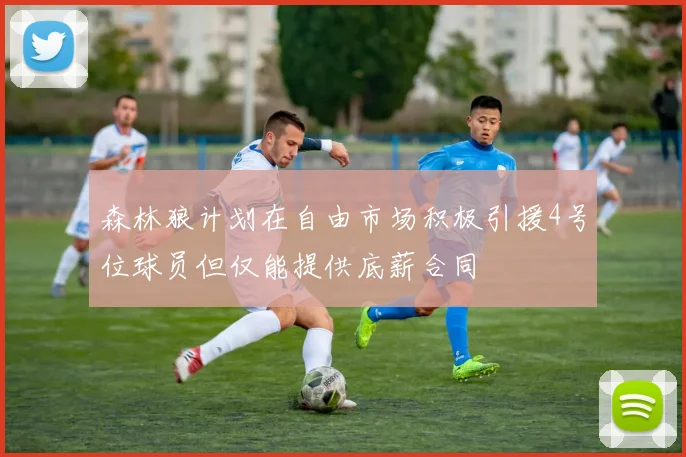 森林狼计划在自由市场积极引援4号位球员但仅能提供底薪合同